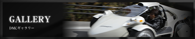 DMCフォトギャラリー