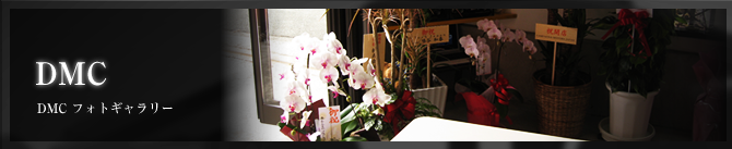 D's Motor Sports Communications　オリジナルギャラリー