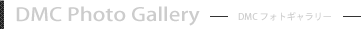 DMCフォトギャラリー