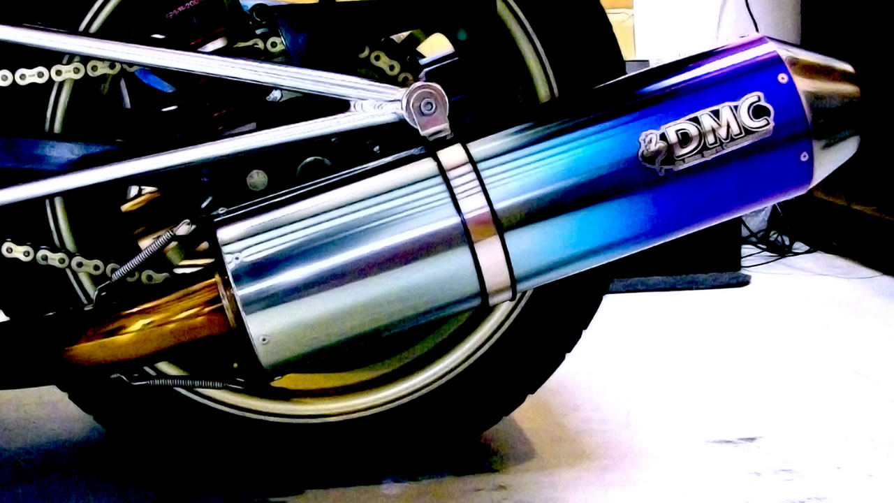 T-REX DMC T-REX専用左右2本出しチタンスリップオンマフラー アルミステー付属